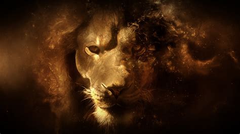 🔥 [140+] Lion Wallpapers HD | WallpaperSafari