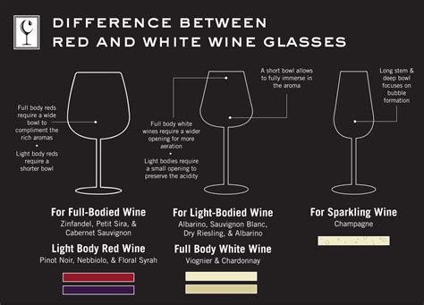 The Difference Between Red and White Wine Glasses – Wine Connoisseur Shop