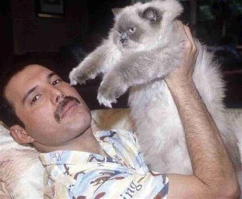 Freddie Mercury Loved Cats More Than Anything, Now His Hidden Photos ...