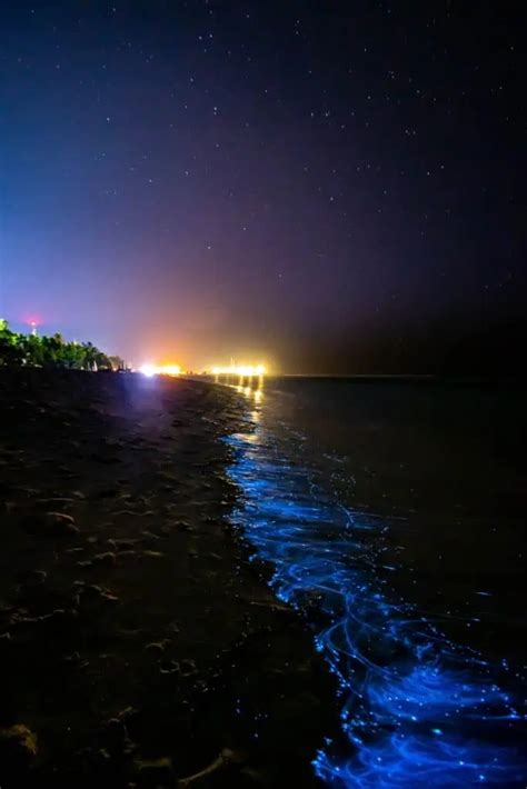 Cocoa Beach Bioluminescence - All You Need To Know (2024) - A Backpacker's World