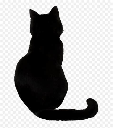 Cat Shadow Png, Transparent Png - vhv