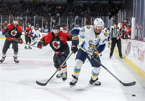 : Navigating the Walleye Wonderland: Unveiling the Toledo Walleye Schedule - My Blog