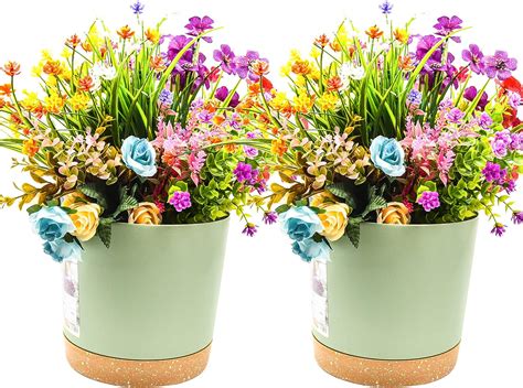 Amazon.com: Qusuxi 2 Pack 10 Inch Plant Pots Indoor Plastic Flower Pots with Drainage Holes and ...