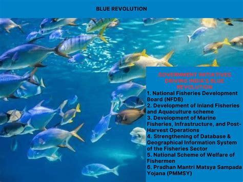Blue Revolution: Empowering Sustainable Aquaculture Practices