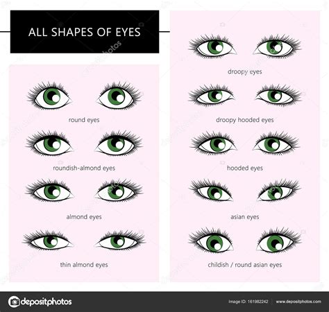 Eye Shapes