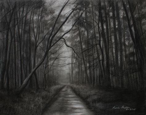 Dark Forest Drawing by Lena Auxier - Fine Art America