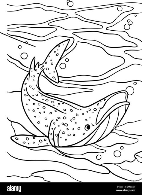 Whale Shark Coloring Page for Kids Stock Vector Image & Art - Alamy