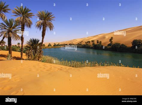 Desert lake Um el Maa, Sahara Stock Photo - Alamy