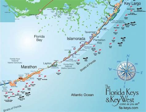 Holiday Inn Key Largo Resort And Sea Dwellers Team Up This Summer ...