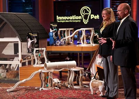 Innovation Pet Update – What Happened After Shark Tank - Gazette Review