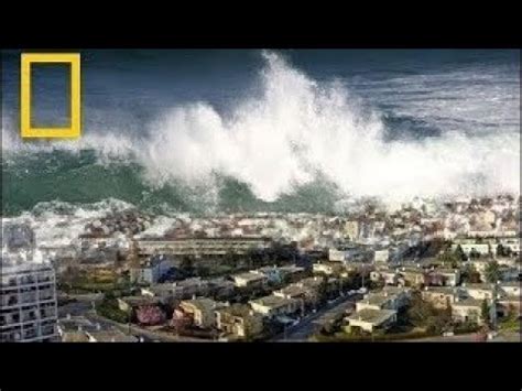 Documentary National Geographic Wild Terrible Tsunami Disaster In History Nat Geo Wild - YouTube