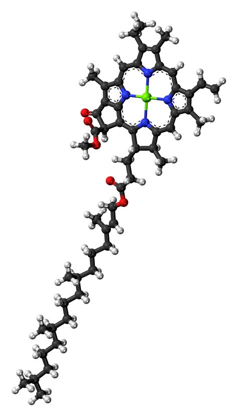 File:Chlorophyll-a-3D-balls.png - Wikimedia Commons