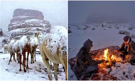 Stunning Images Show Saudi Arabia's Dry Deserts Covered With Snow Due To Cold Spell - WORLD OF BUZZ