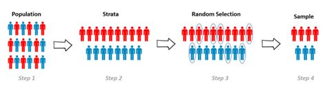 What is Stratified Sampling: Definition and Use - Uedufy