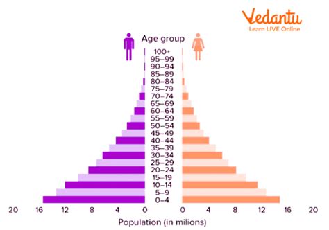 Population Pyramid - Structure, Types, and Uses