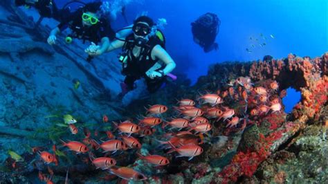 Scuba Diving In India: Explore The Best Of Underwaters