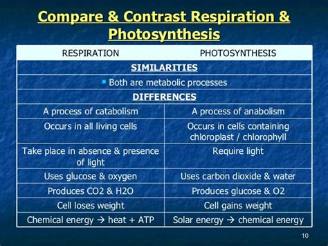 comparison & contrast between photosynthesis and cellular respiration