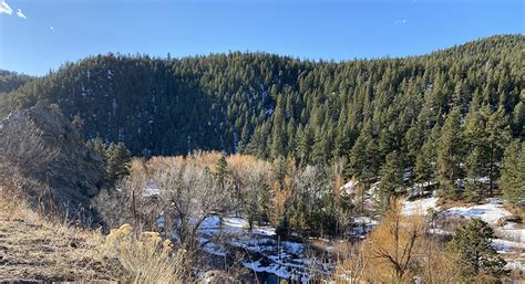 Hiking Trails in Colorado | Evergreen Lake Trail