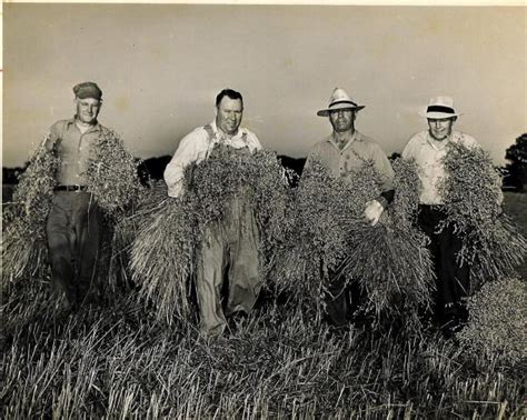 Historical Photos from the Oregon Area Historical Society, Oregon, WI