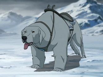 Polar Bear Dog | Wiki | Avatar Amino