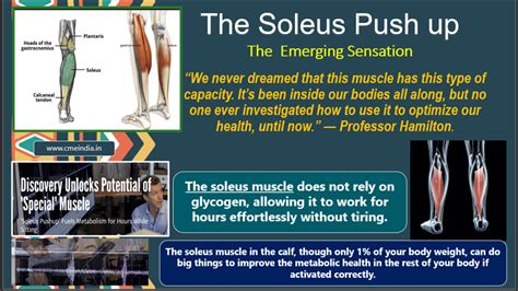 Soleus Push up - The Emerging Sensation - CME INDIA