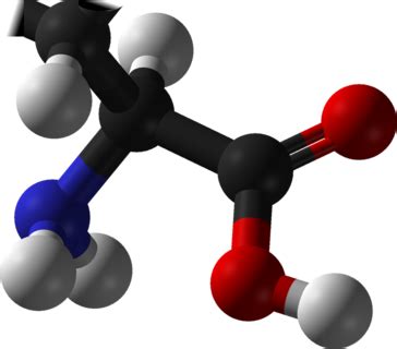 Imino acid - Wikipedia