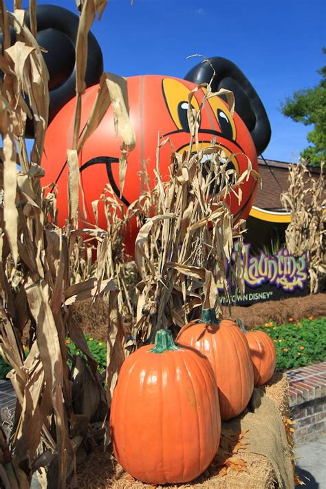 Photos - Halloween decorations at Downtown Disney