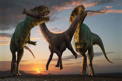 Eggshell Fossils Suggest That Dinosaurs Were ‘decisively’ Warm-blooded