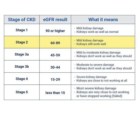 The Stages of Chronic Kidney Disease - Britto's Brainwaves