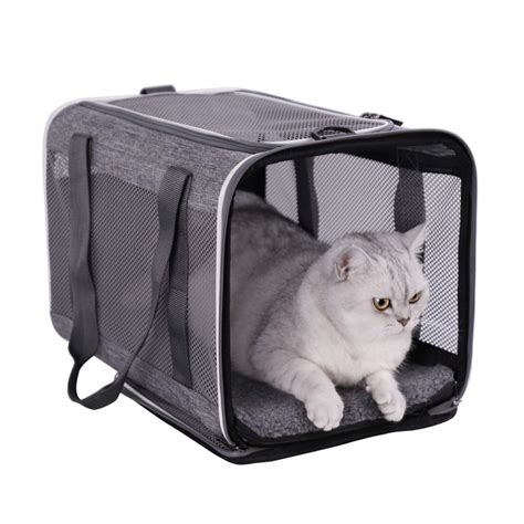 Cats Carrier for Large and Medium Best Offer - CatPremier.com