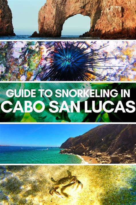 Complete Guide to Snorkeling in Cabo San Lucas: maps, tours and more in 2021 | Cabo trips, Cabo ...