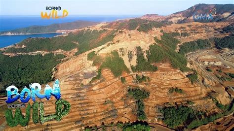 Petition · Deforestation in the Philippines - Philippines · Change.org