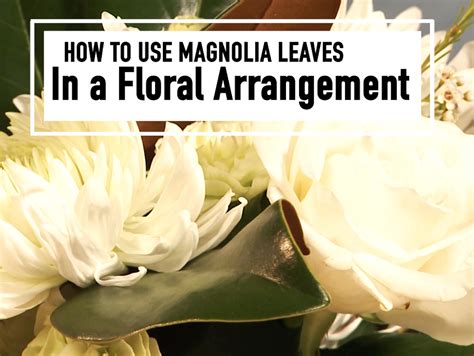 How to Use Magnolia Leaves in a Flower Arrangement | Mississippi State ...