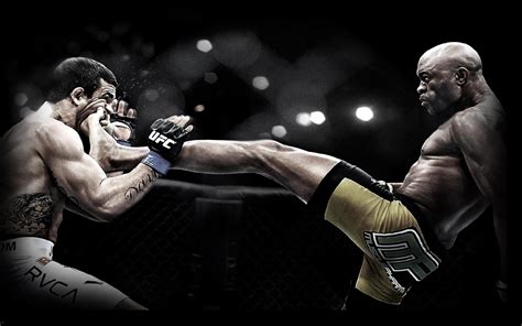 UFC Wallpapers HD - Wallpaper Cave