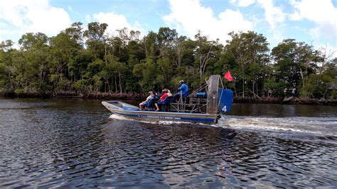 How to Gain Swamp Savvy: A Thrilling Everglades Airboat Tour