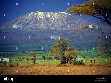 Snow peaked kilimanjaro hi-res stock photography and images - Alamy