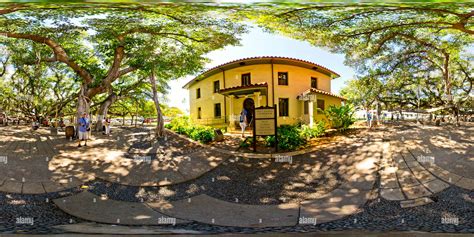 360° view of banyan tree lahaina maui - Alamy