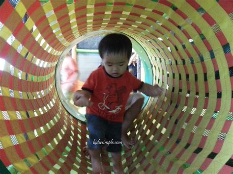 Canopy Playground 7 - Kids 'R' Simple