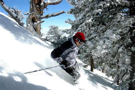 The Best Backcountry Skiing Locations in Utah for 2023