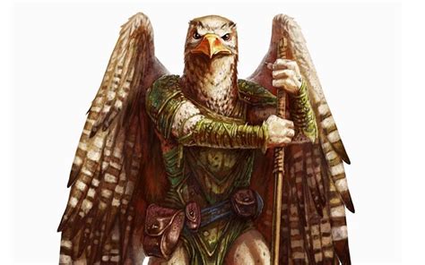 Aarakocra (Circle of Air, Storm Lord, Oath of the Winds, Infiltrator) - Tribality