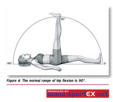 The normal range of hip flexion is 90°. | sportEX journals | Flickr