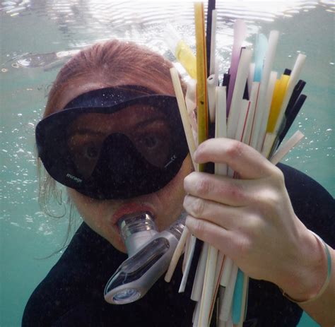 Plastic pollution: why straws seriously suck