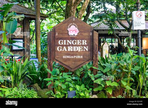 Ginger garden singapore hi-res stock photography and images - Alamy