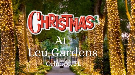 Dazzling Lights at Harry P. Leu Gardens | Orlando Florida - YouTube