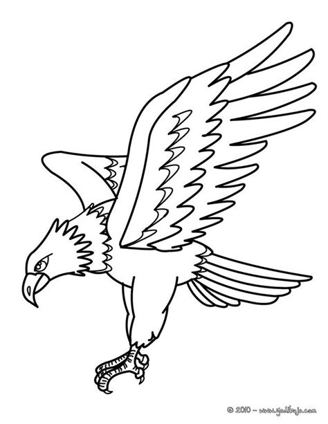 Dibujos AVES para colorear - AGUILA IMPERIAL ORIENTLA | Aguila real dibujo, Aguila dibujo ...