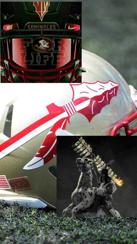 Fsu, football, helmet, HD phone wallpaper | Peakpx