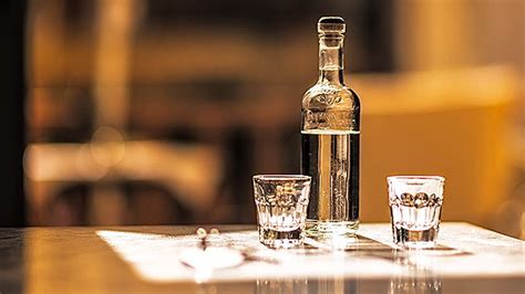 Raki: everything you should know about the raki drink