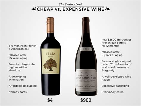 The Truth About Cheap vs. Expensive Wine | Wine Folly