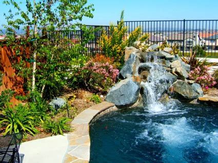 Swimming Pool Landscaping Ideas: Pictures, Backyard, Rocks, Design, Budget