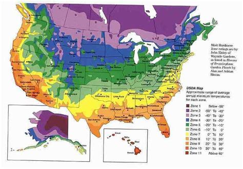 Choosing Your Hop Variety | Gardening zones, Gardening zone map, Perennial garden